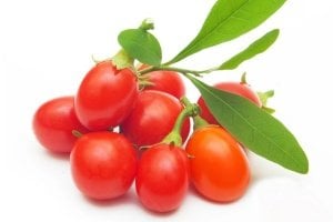 1 Dönüme Kaç Goji Berry Ağacı Yetiştirilir?